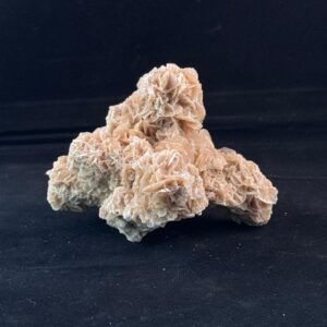 Woestijnroos 3d